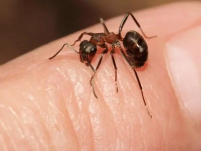 602fb5f1c9de3d2ffc1e2af1